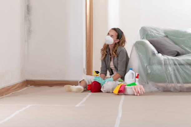 Reliable Mold Remediation contractor in Salisbury, MD by WQB Mold Removal